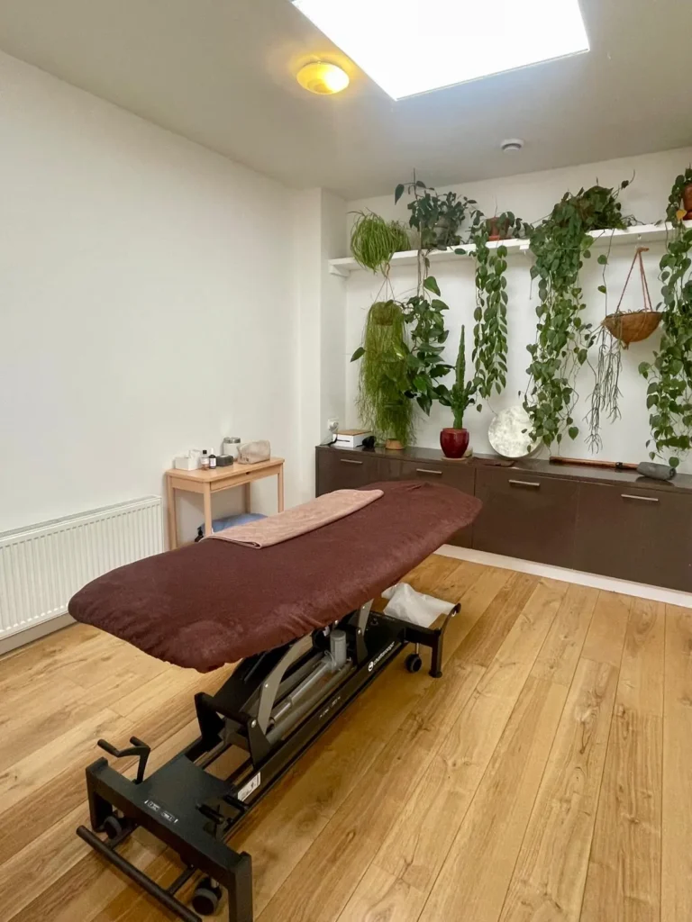 Behandelruimte voor acupunctuur met behandelbank en planten in Den Haag