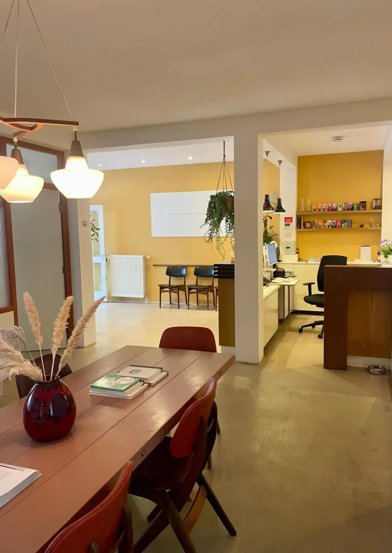 Rustige behandelkamer voor acupunctuur met comfortabele behandelbank